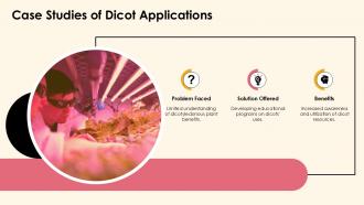 Exploring Dicotyledonous Plants Characteristics And Types PPT Sample ST AI Designed Adaptable