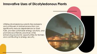 Exploring Dicotyledonous Plants Characteristics And Types PPT Sample ST AI Professional Adaptable