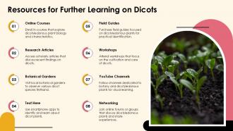 Exploring Dicotyledonous Plants Characteristics And Types PPT Sample ST AI Impressive Adaptable