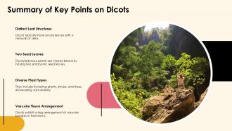 Exploring Dicotyledonous Plants Characteristics And Types PPT Sample ST AI Interactive Adaptable