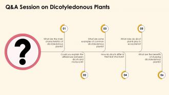 Exploring Dicotyledonous Plants Characteristics And Types PPT Sample ST AI Visual Adaptable