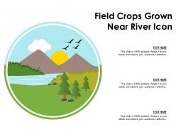 Field crops grown near river icon