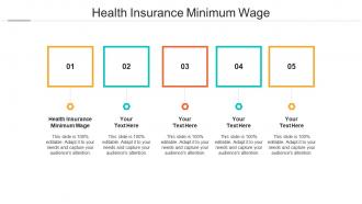 Health insurance minimum wage ppt powerpoint presentation summary icon cpb