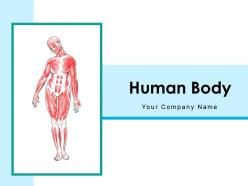 Human body anatomical structure system description internal