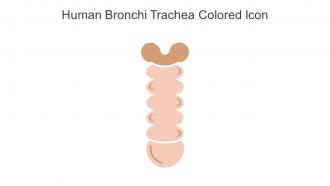 Human Bronchi Trachea Colored Icon In Powerpoint Pptx Png And Editable Eps Format