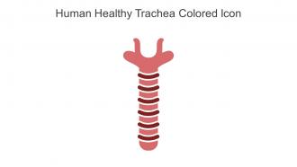 Human Healthy Trachea Colored Icon In Powerpoint Pptx Png And Editable Eps Format
