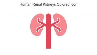 Human Renal Kidneys Colored Icon In Powerpoint Pptx Png And Editable Eps Format