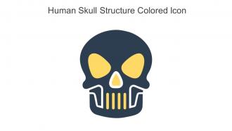 Human Skull Structure Colored Icon In Powerpoint Pptx Png And Editable Eps Format