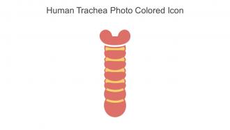 Human Trachea Photo Colored Icon In Powerpoint Pptx Png And Editable Eps Format