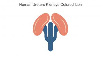 Human Ureters Kidneys Colored Icon In Powerpoint Pptx Png And Editable Eps Format