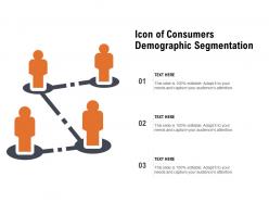 Icon of consumers demographic segmentation