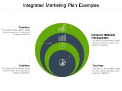 Integrated marketing plan examples ppt powerpoint presentation icon gallery cpb