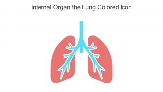 Internal Organ The Lung Colored Icon In Powerpoint Pptx Png And Editable Eps Format