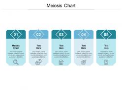 Meiosis chart ppt powerpoint presentation icon example introduction cpb