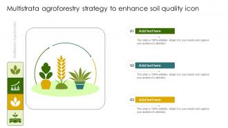 Multistrata Agroforestry Strategy To Enhance Soil Quality Icon
