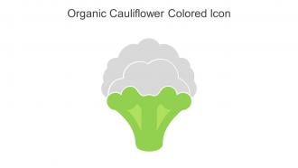Organic Cauliflower Colored Icon In Powerpoint Pptx Png And Editable Eps Format