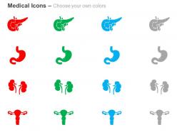 Pancreas stomach kidneys uterus ppt icons graphics