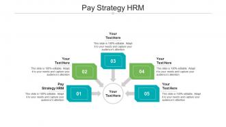 Pay strategy hrm ppt powerpoint presentation icon slide portrait cpb