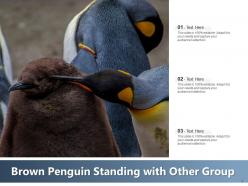 Penguin african standing beach aquatic animal emperor