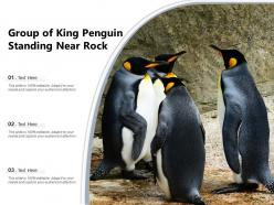 Penguin african standing beach aquatic animal emperor
