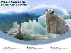 Penguin african standing beach aquatic animal emperor