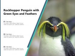 Penguin african standing beach aquatic animal emperor