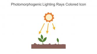 Photomorphogenic Lighting Rays Colored Icon In Powerpoint Pptx Png And Editable Eps Format
