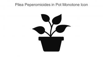Pilea Peperomioides In Pot Monotone Icon In Powerpoint Pptx Png And Editable Eps Format