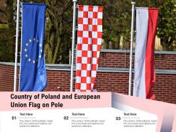 Poland Country Flag Illustration Representing National Republic Decorated European
