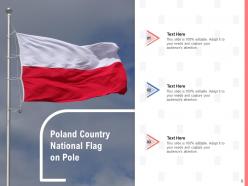 Poland Country Flag Illustration Representing National Republic Decorated European