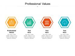Professional values ppt powerpoint presentation icon designs cpb
