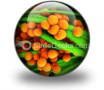 Staphylococcus science powerpoint icon c