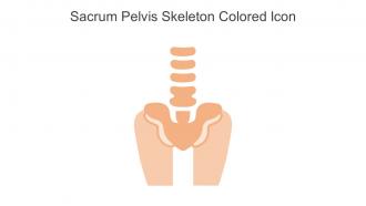 Sacrum Pelvis Skeleton Colored Icon In Powerpoint Pptx Png And Editable Eps Format