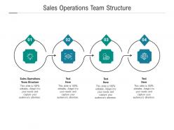 Sales operations team structure ppt powerpoint presentation icon clipart cpb