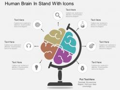 Sd human brain in stand with icons flat powerpoint design