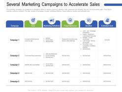 Several marketing campaigns to accelerate sales other ppt powerpoint presentation file icons