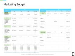 Smart phone strategy marketing budget ppt powerpoint presentation icon maker