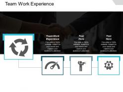 Team work experience ppt powerpoint presentation icon skills cpb