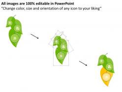 Three icons on leaves for finance and business flat powerpoint design