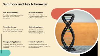Thymidine Essential Nucleotide For DNA Synthesis PPT Presentation ST AI Engaging Multipurpose