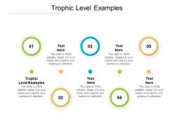 Trophic level examples ppt powerpoint presentation icon clipart cpb