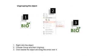 Bio plant car eco nature safety ppt icons graphics