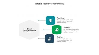 Brand identity framework ppt powerpoint presentation portfolio icon cpb