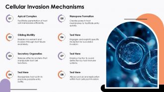 Cellular Invasion Mechanisms Apicomplexa Protozoa PPT Presentation ACP