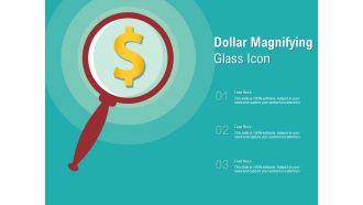 Dollar magnifying glass icon