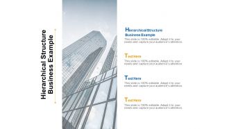 Hierarchical structure business example ppt powerpoint presentation icon format cpb