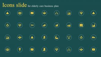 Icons Slide For Elderly Care Business Plan Ppt Sample BP SS