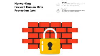 Networking firewall human data protection icon