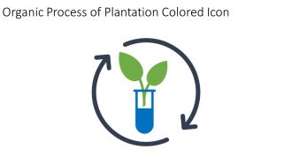 Organic Process Of Plantation Colored Icon In Powerpoint Pptx Png And Editable Eps Format