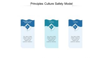 Principles culture safety model ppt powerpoint presentation icon guidelines cpb